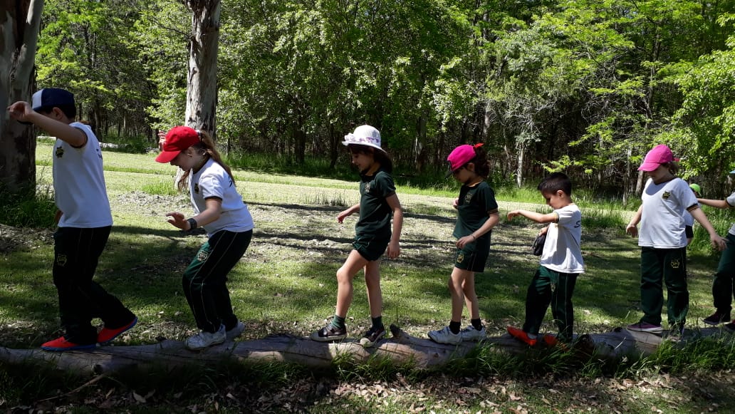 Proyecto Actividades en la Naturaleza