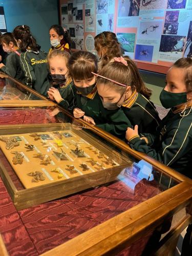 EMS 2022 Escuela Modelo Sarmiento Nivel Primario Un dia en el Museo 1