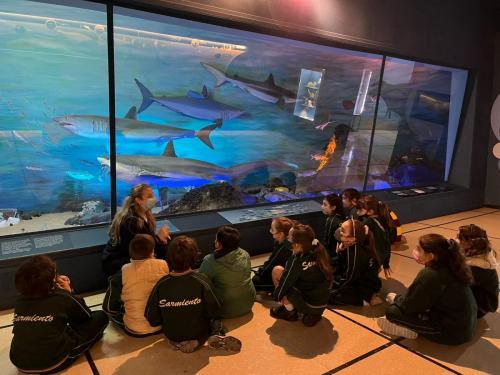 EMS 2022 Escuela Modelo Sarmiento Nivel Primario Un dia en el Museo 2
