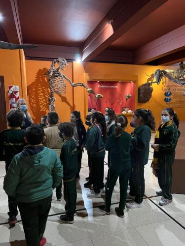 EMS 2022 Escuela Modelo Sarmiento Nivel Primario Un dia en el Museo 3
