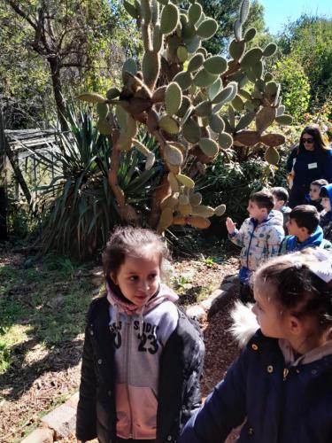 EMS 2023 Escuela Modelo Sarmiento Nivel Inicial Visita al Jardin Botanico 2