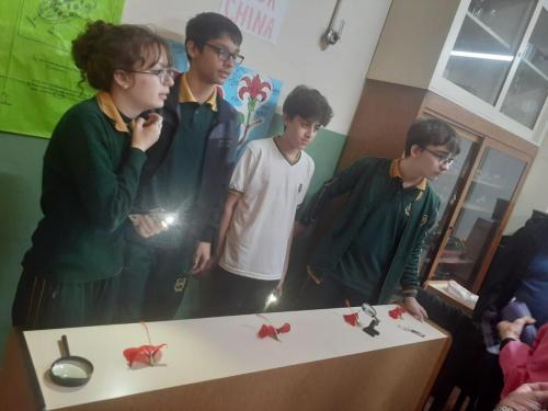 EMS 2024 Escuela Modelo Sarmiento Escuela Fantastico cierre del año 17