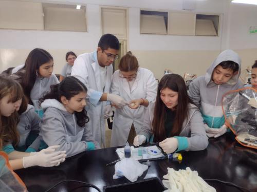 EMS 2024 Escuela Modelo Sarmiento Nivel Primario Ventana al futuro 3